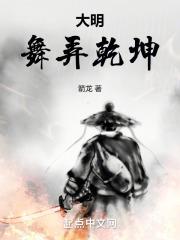 大明：舞弄乾坤